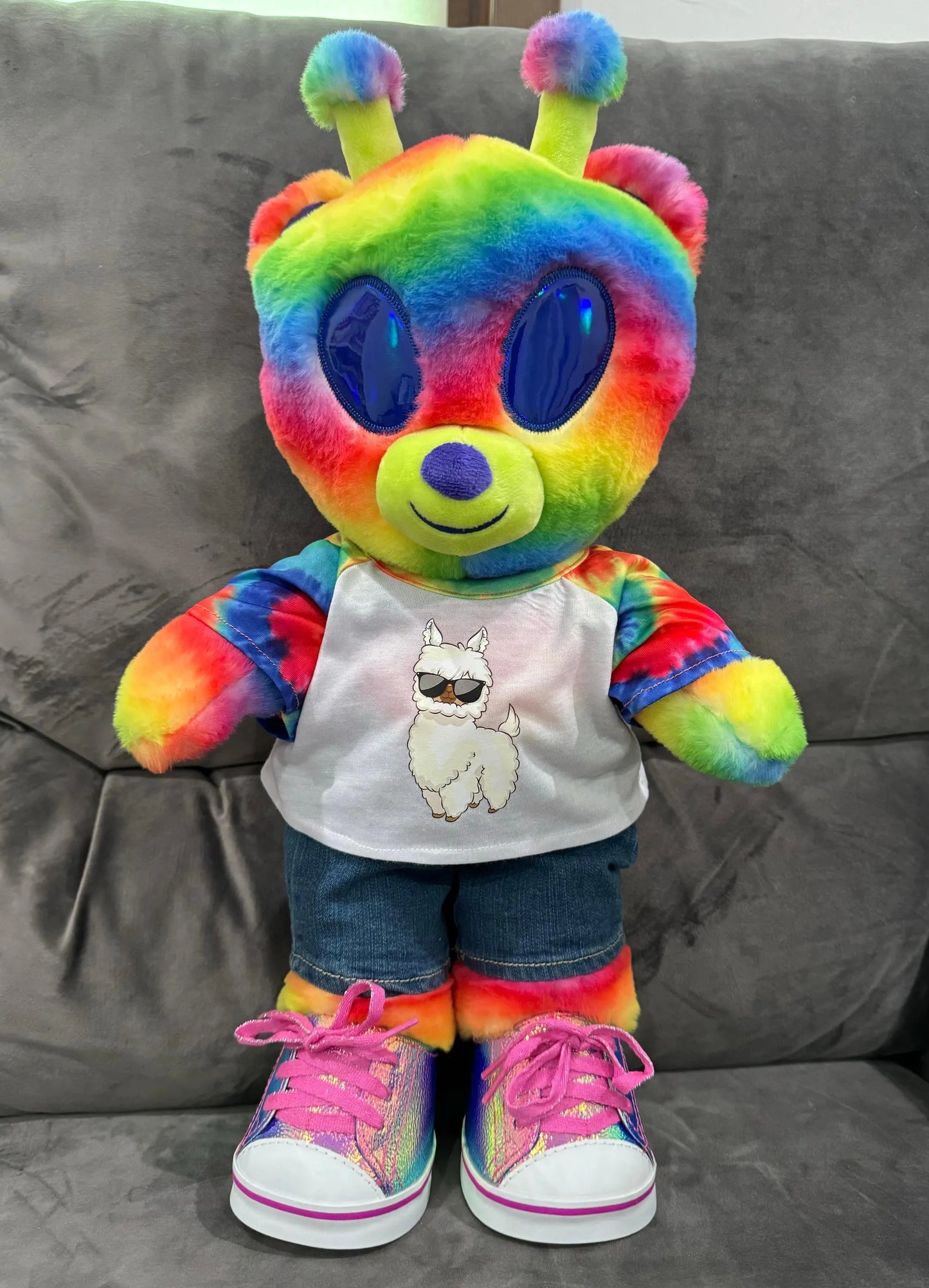 Put Your Text or Image on a Plushie T-Shirt or Hoodie!