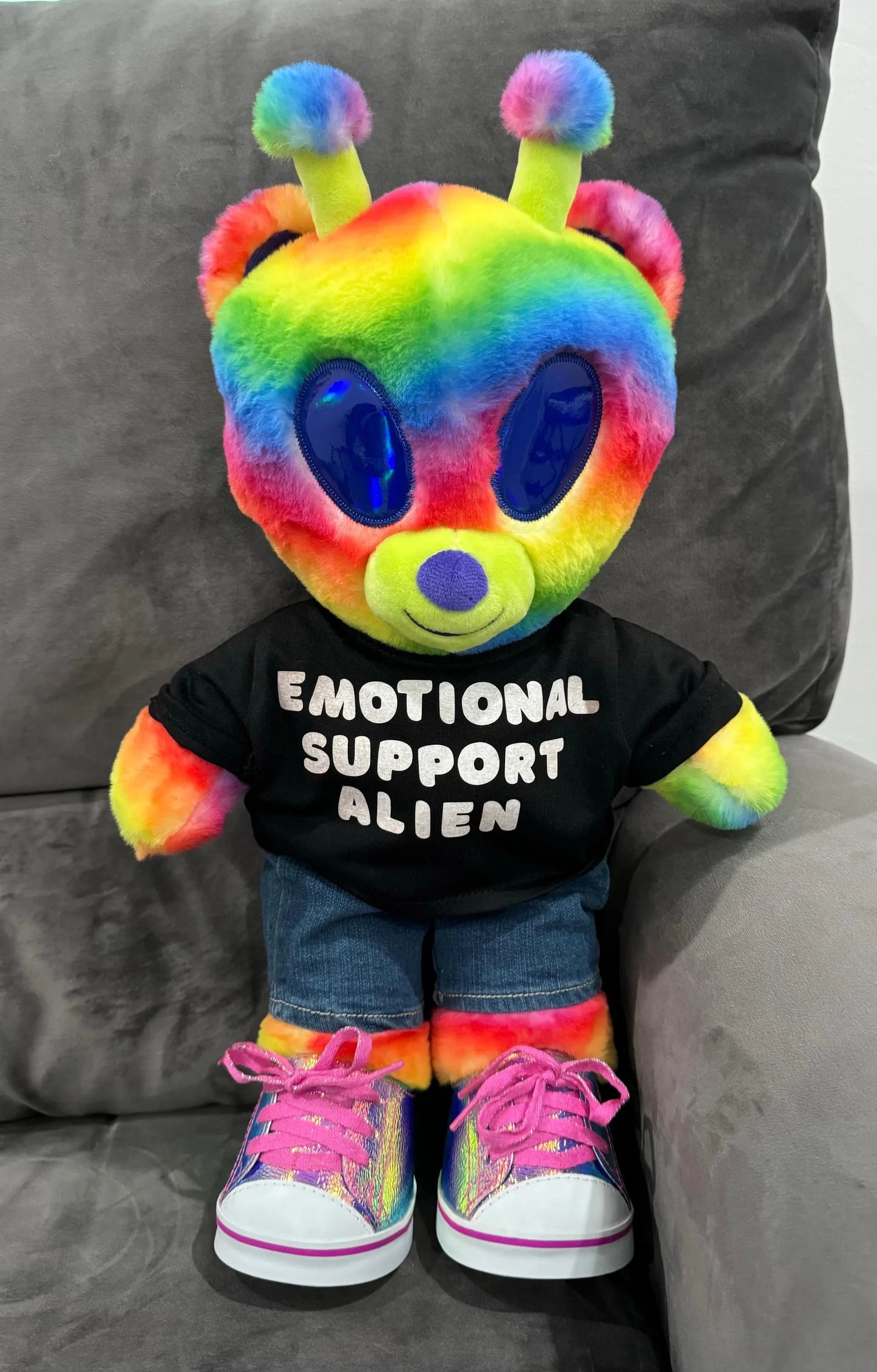 Put Your Text or Image on a Plushie T-Shirt or Hoodie!